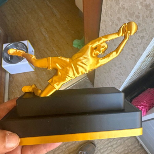 Best goalkeeper award like new