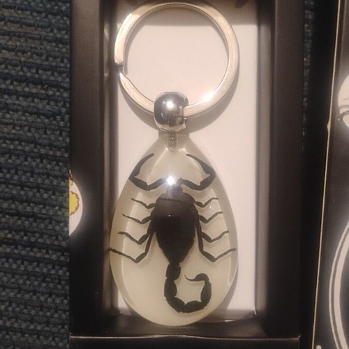 Scorpion Keychain like new