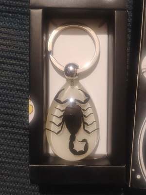 Scorpion Keychain like new