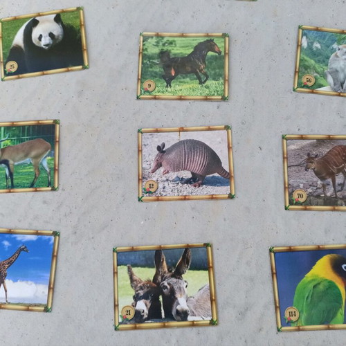 The Jungle Animal Stickers like new