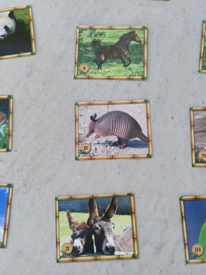 The Jungle Animal Stickers like new