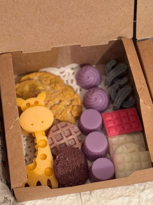 Wax melts box new, plant-based soy wax with surprise scents