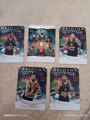 Panini basketball cards