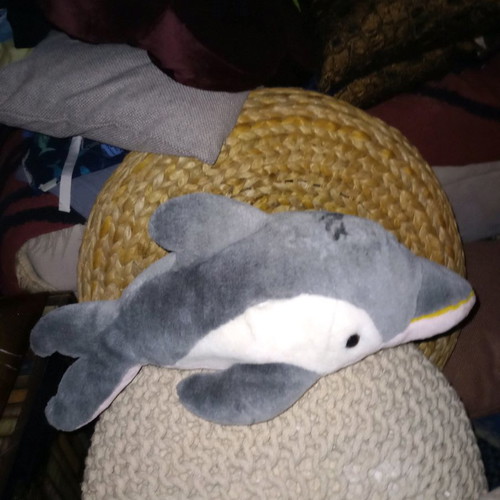 Plush dolphin new, can be used as a pillow