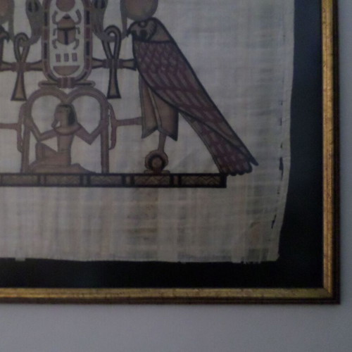 Egyptian papyrus with new frame