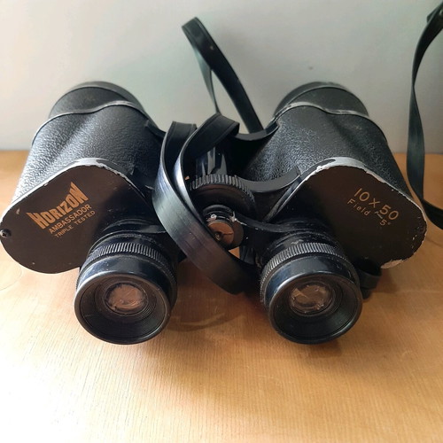 Horizon Ambassador 10×50 binoculars used, vintage Japanese model