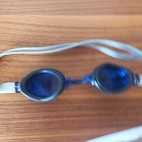 Swimming goggles with protective case