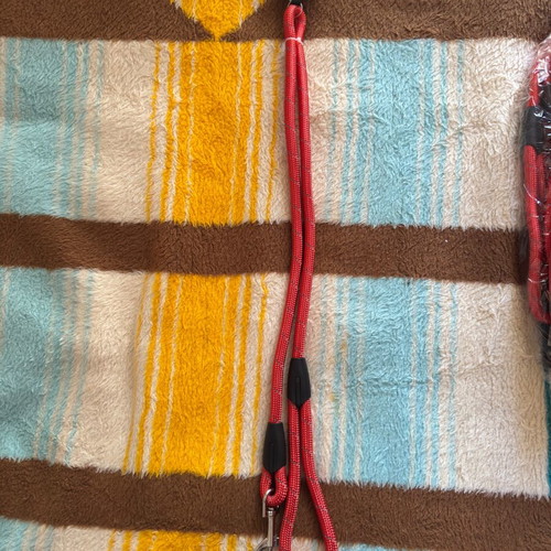 Dog leash new