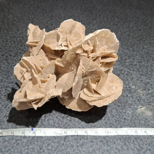 Desert Rose Collection (2 Rare Mineral Pieces - 1.16kg Total)