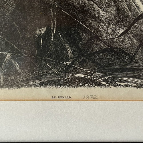 Rare Authentic Wood Engraving "The Fox and the Duck" 1872 Like New with Frame