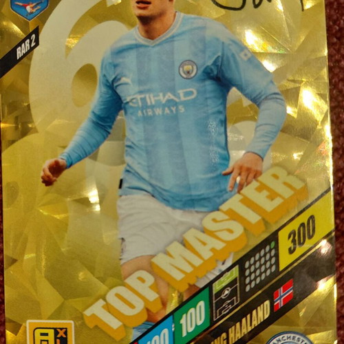 Erling Haaland Top Master RAR2 Panini FIFA 365 Adrenalyn XL 2024 card