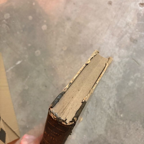 History of Attila used book