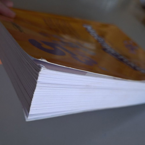 Savvalas Mathematics Grade 5 textbook like new