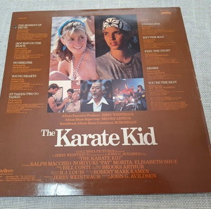 Karate Kid (Original Motion Picture Soundtrack)  LP