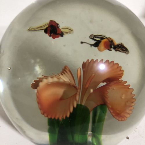 Handblown glass dome paperweight with stylized bees