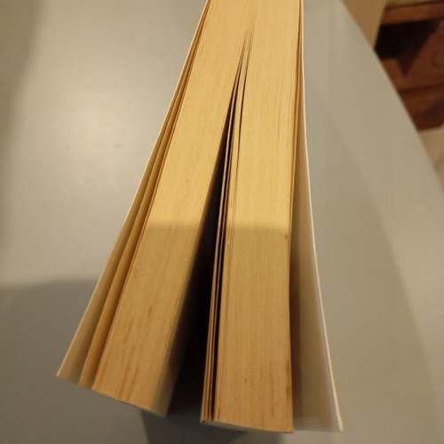 The Constant Gardener used book