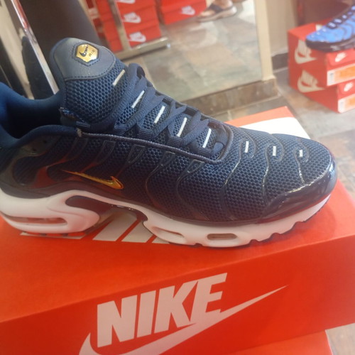 Nike Tn sneakers new in box, white and blue
