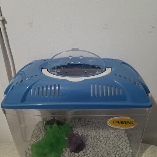 Aquarium like new with gravel and decorations 31×19×20 cm