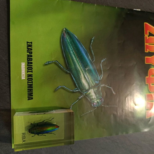 Real Bugs Issue 6 used