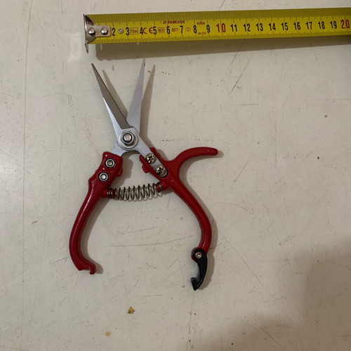 Garden scissors for flowers and vineyards like new