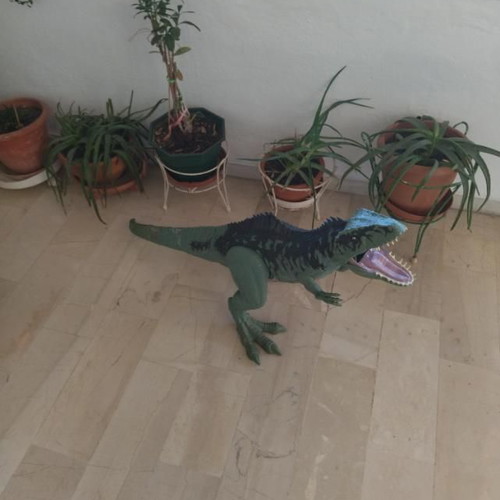 Jurassic World Mattel Dinosaur Figures used, 1 meter Tyrannosaurus and Gigantosaurus