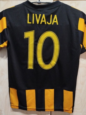 AEK trainers team sports t-shirt like new, home kit imitation 2015-2016
