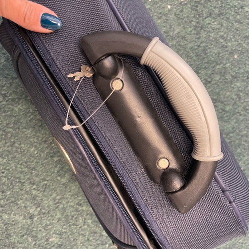 Travel case for cosmetics used