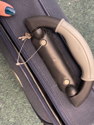 Travel case for cosmetics used