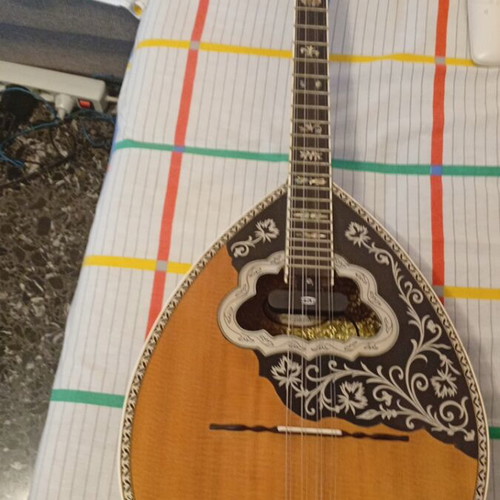Professional Bouzouki Oktachordo Saribeyoglou 2019 like new with pickup and case