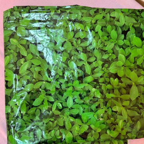 PVC найлонов фон за снимки нов, 137x274 см, зелен лист
