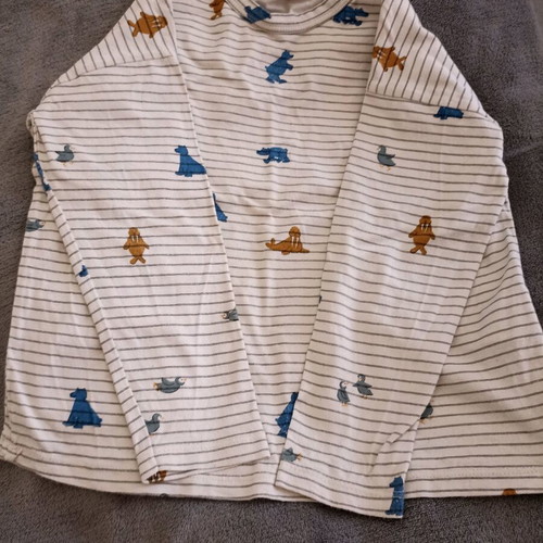 Zara long-sleeve kids t-shirt used with animals and stripes for 4-5 years