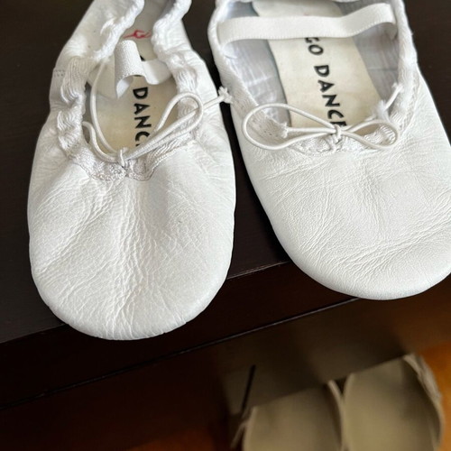 Ballet shoes size 20 lightly worn and size 30