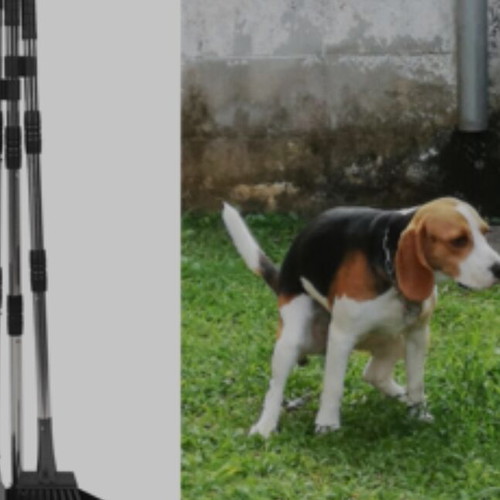 Dog Poop Tray Set new with Rake and Shovel