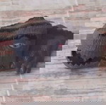  Φιγουρα Jurassic World Dino Racer