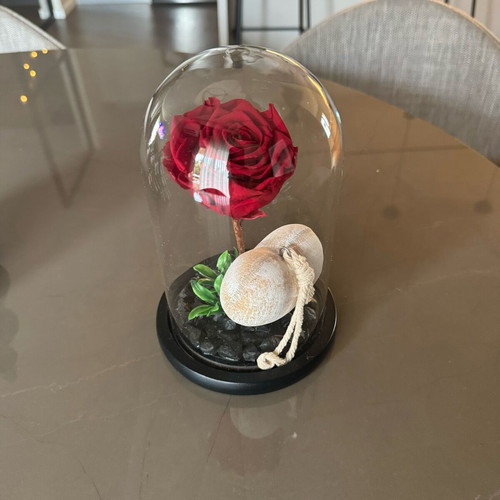 Forever rose used, red
