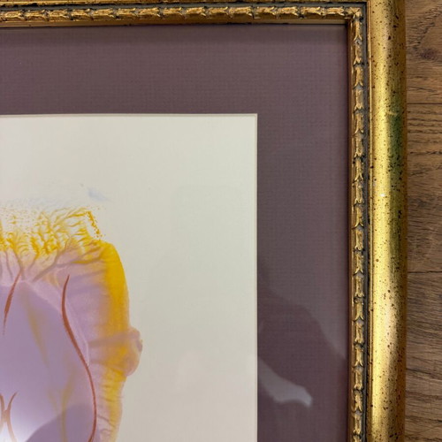 Artwork G. Stathopoulos like new with frame, nude