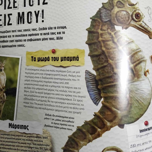 Children's 3D book with animals in excellent condition