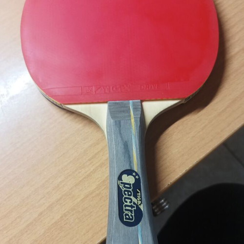 Stiga Spectra ping pong racket used with case and 3 balls
