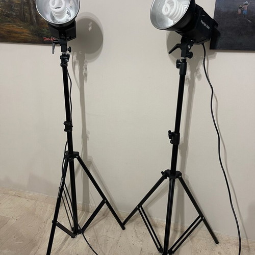 Walimex Pro Daylight 250S Impression L Photography and Video Lighting Set new