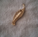 Pin new