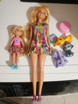 Barbie & Chelsea The Lost Birthday like new