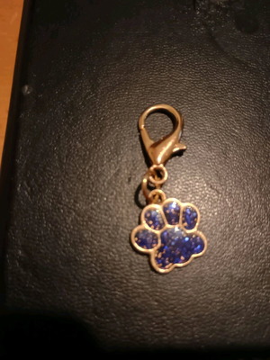 Keychain with Paw Design new, blue and gold