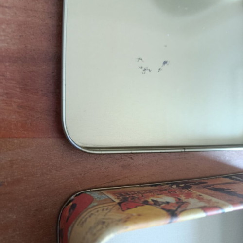 Vintage metal decorative storage box with butterflies like new