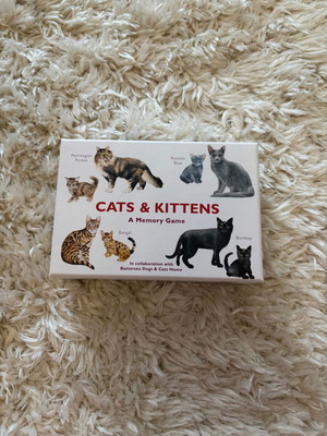 Memory board game with cats new
