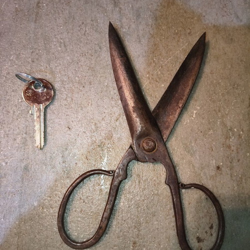 Handmade Forged Antique Scissors Used for Sheep Shearing