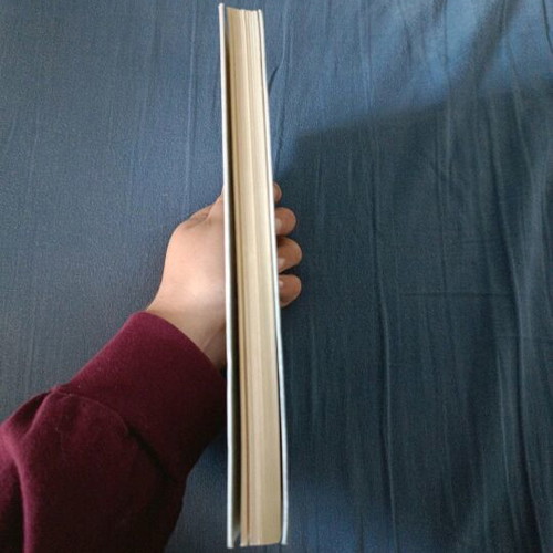 Book ZIAK The Eclipse used with dedication from the author