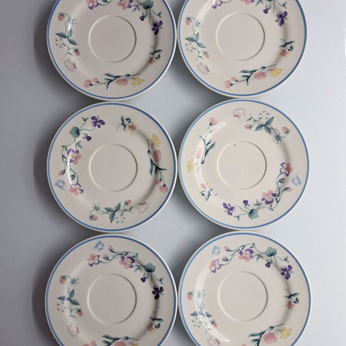 Set of 6 plates with classic country floral pattern like new