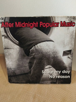 After Midnight Popular Music Scare My Day / No Reason vinyl like new