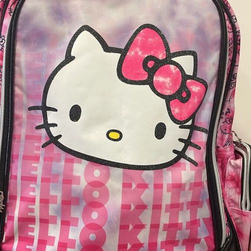 Backpack bags unused, multicolored