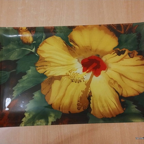Glass serving and decorative platter new
